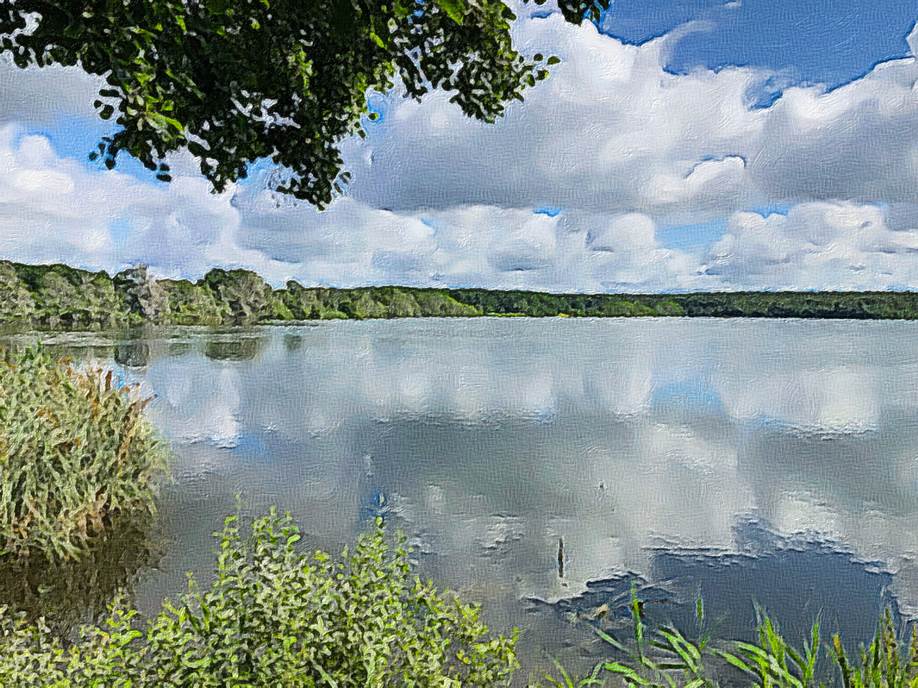 Ein Bild, das Baum, drauen, Wasser, See enthlt.

Automatisch generierte Beschreibung